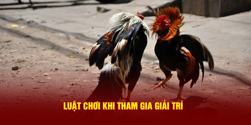 Hướng dẫn cách tham gia cá cược đá gà C4 789club